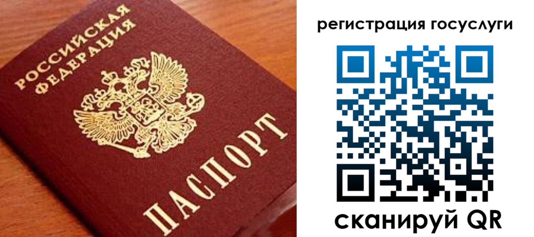прописка иностранных граждан в Шилке